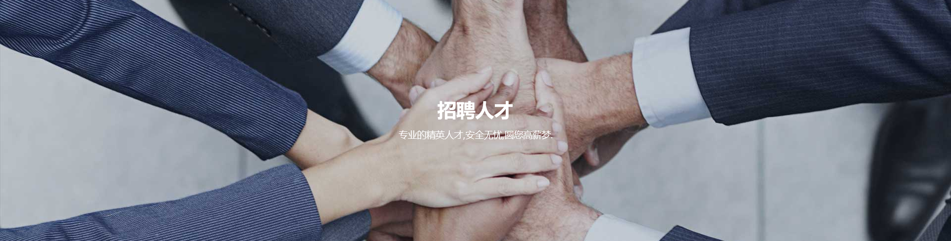 集团愿景